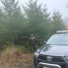 Policjanci wraz z leśnikami kontrolują lasy. Pod kątem nielegalnej wycinki